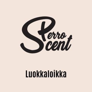 Luokkaloikka | etäryhmävalmennus